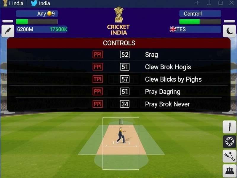 Gameplay Controls ODI Cricket Heroes India Game Controls